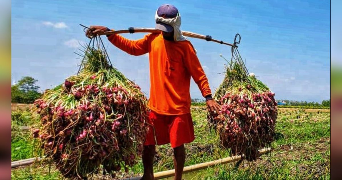 Di Tengah UKT Mahal, Kuliah di UM Maumere Tak Cuma Bisa Bayar Pakai Hasil Bumi Tapi Bisa Dicicil Sampai Sudah Bekerja