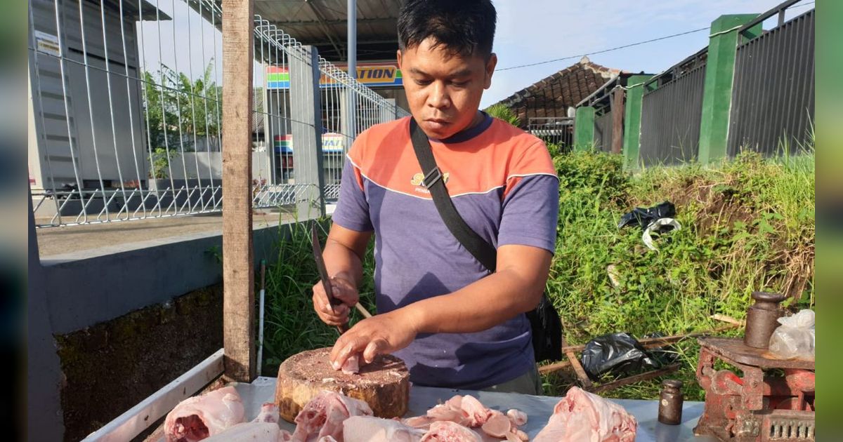 Pedagang Ayam Skala Kecil Wajib Punya Sertifikat Halal Mulai Oktober 2024, Begini Cara Mudah Mengurusnya