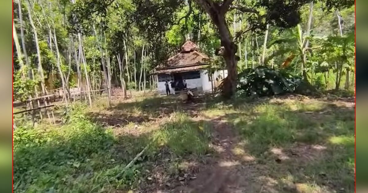 Kisah Kampung Mati Petir di Batang, Desa Tak Berpenghuni Menyimpan Banyak Cerita Horror