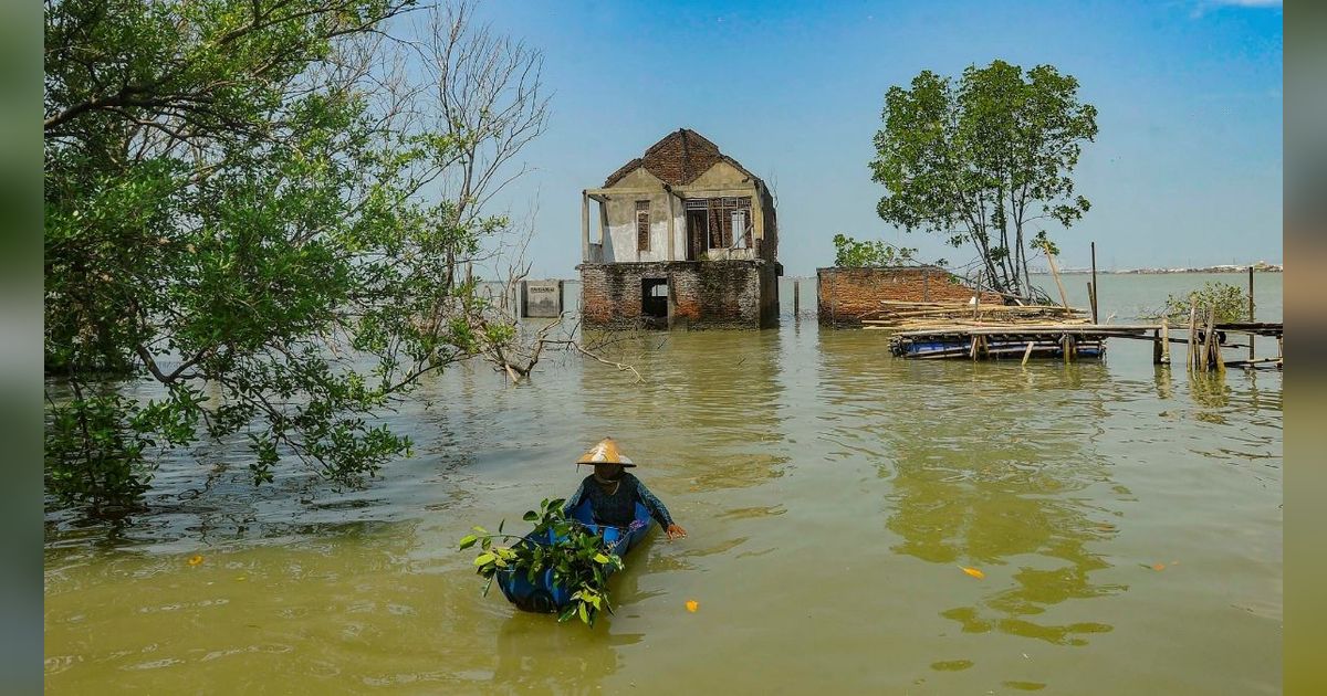 FOTO: Semangat Wanita Mangrove Tetap Bertahan di Rumahnya yang Dikelilingi Laut