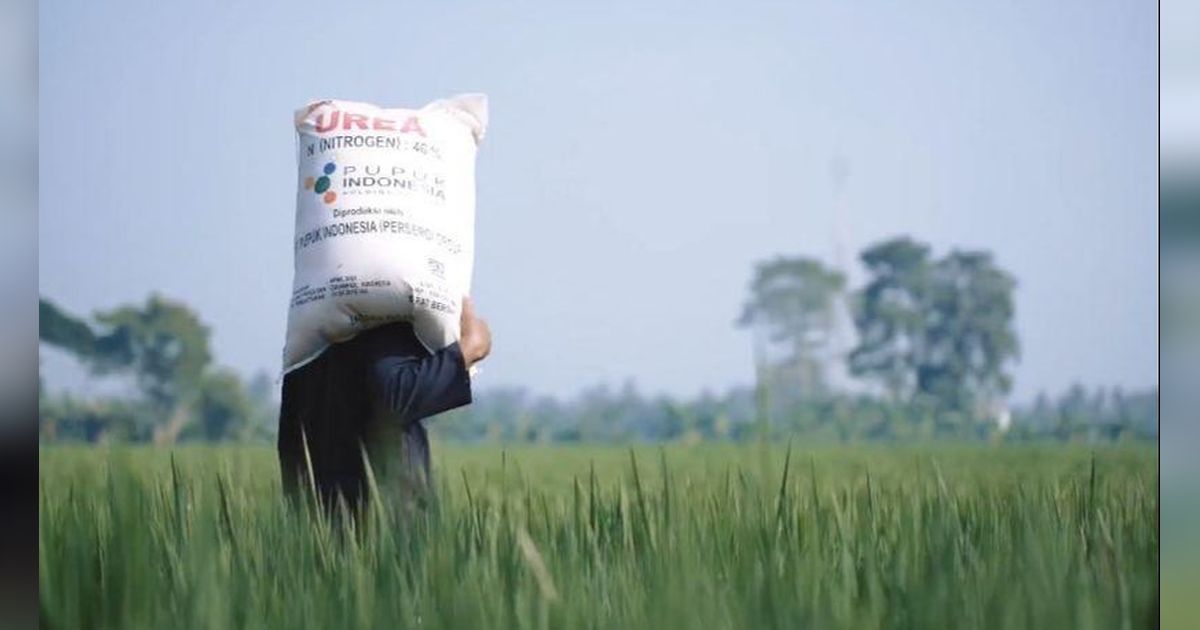 Alokasi Pupuk Bersubsidi Berlimpah, Kementan Imbau Petani Segera Tebus