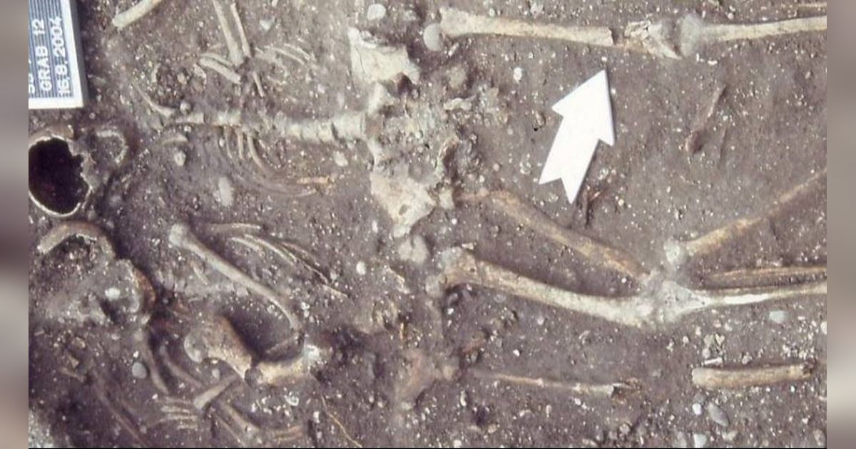 Arkeolog Untuk Pertama Kalinya Temukan Makam Ibu dan Anak Romawi Kuno, Dikubur Bersama Seekor Kuda
