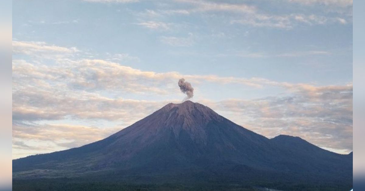 Gunung Semeru Kembali Erupsi, Letusan Mencapai 800 Meter