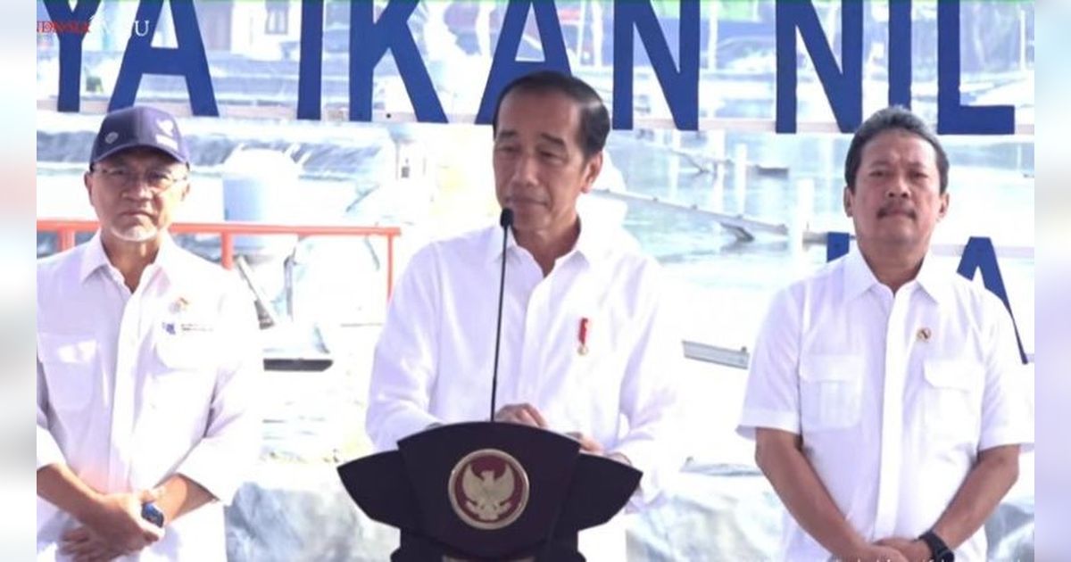 Jokowi Pastikan Perpanjang Izin Ekspor PT Freeport, Sebut Pembangunan Smelter Hampir 100%