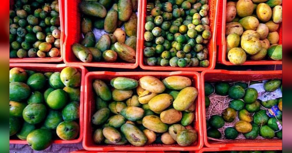 8 Negara yang Punya Produksi Mangga Terbanyak di Dunia, Indonesia Masuk dalam Daftar