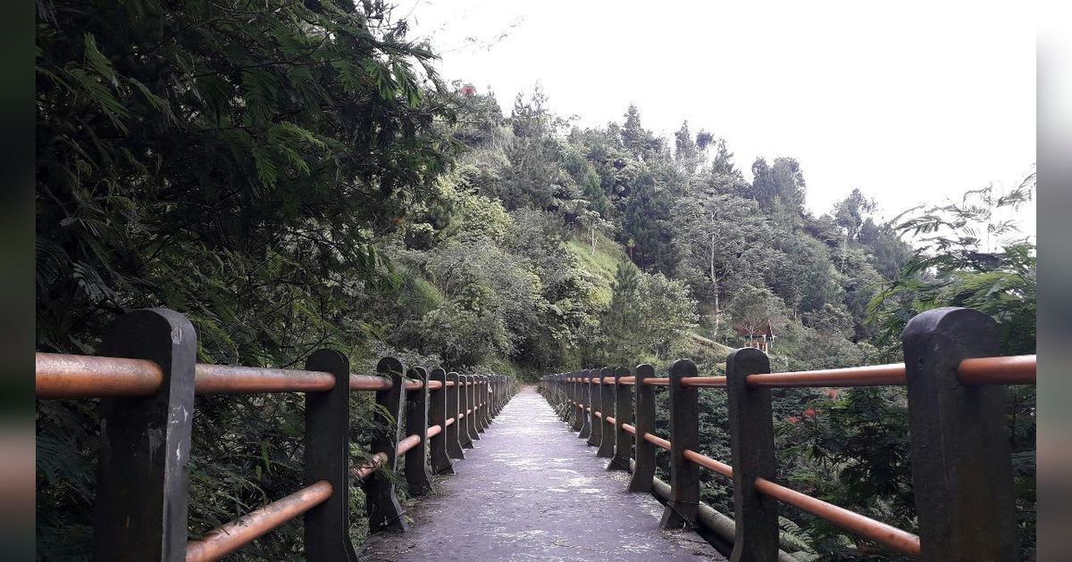 15 Wisata Merapi Yogyakarta yang Wajib Dikunjungi, Banyak Pilihannya