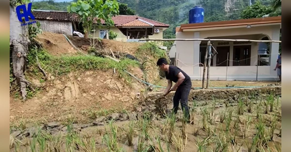 Anak Sukses jadi Penyanyi & Kaya Raya, Sang Ayah Tak Gengsi Nyangkul di Sawah