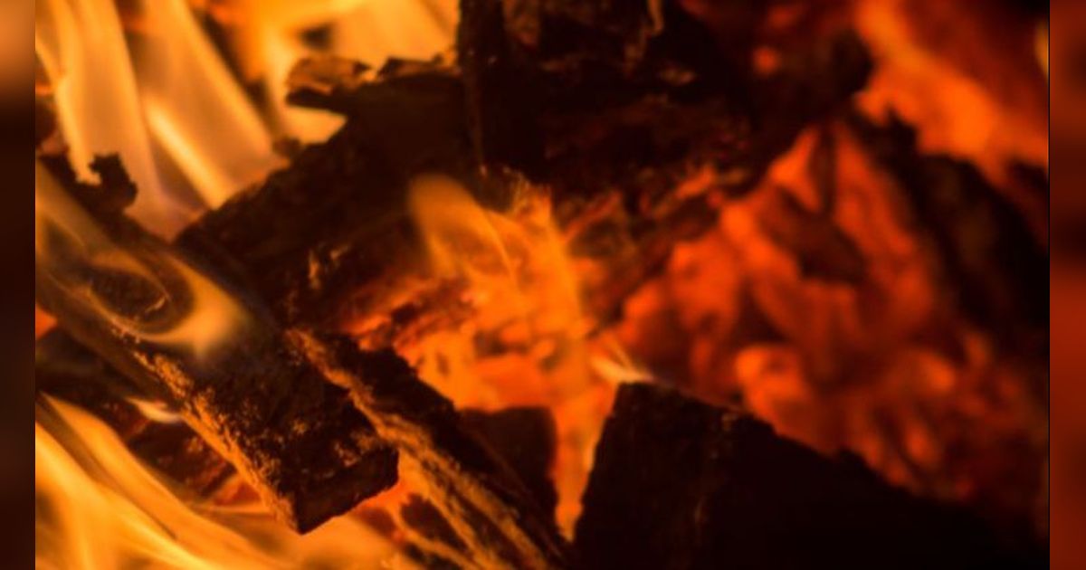 Polwan Mojokerto Briptu FN Bakar Suami hingga Tewas Gegara Judi Online, Berapa Gaji Polisi?