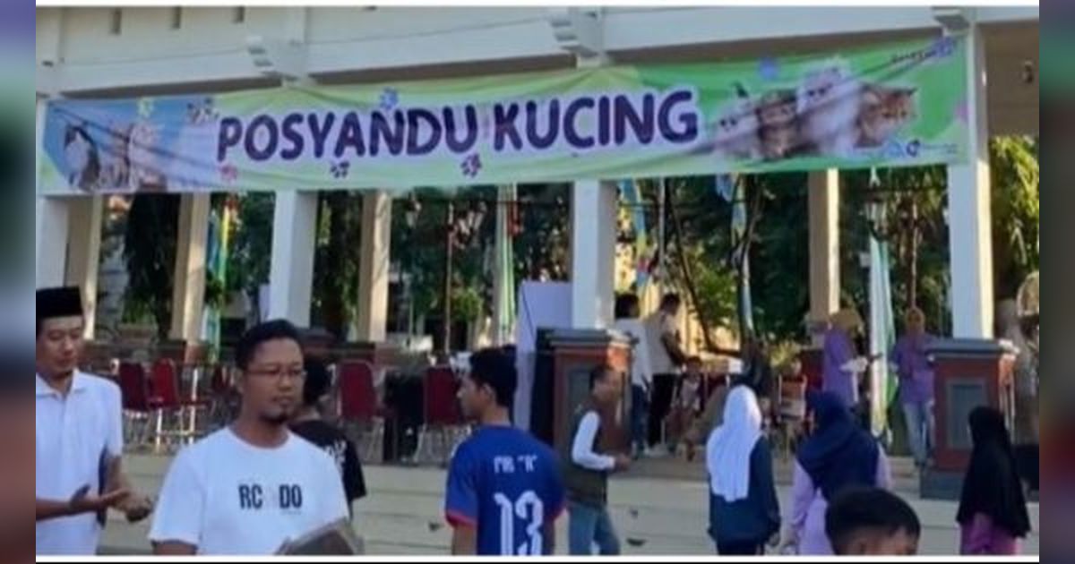 Viral Posyandu Kucing di Lamongan, Fasilitas Lengkap Ada Timbangan hingga Petugas Khusus