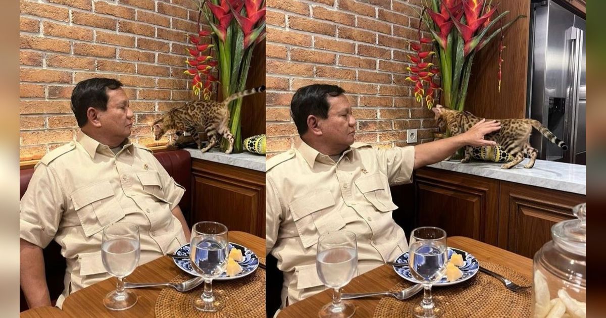 Momen Hangat Prabowo Makan Ditemani Kucing Leopard, Dielus-elus