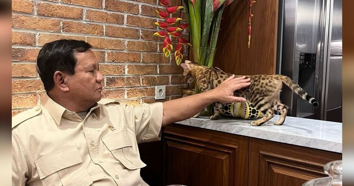 Momen Prabowo Santai Bareng Kucing Corak Leopard, Netizen: Bobby Nangis di Pojokan