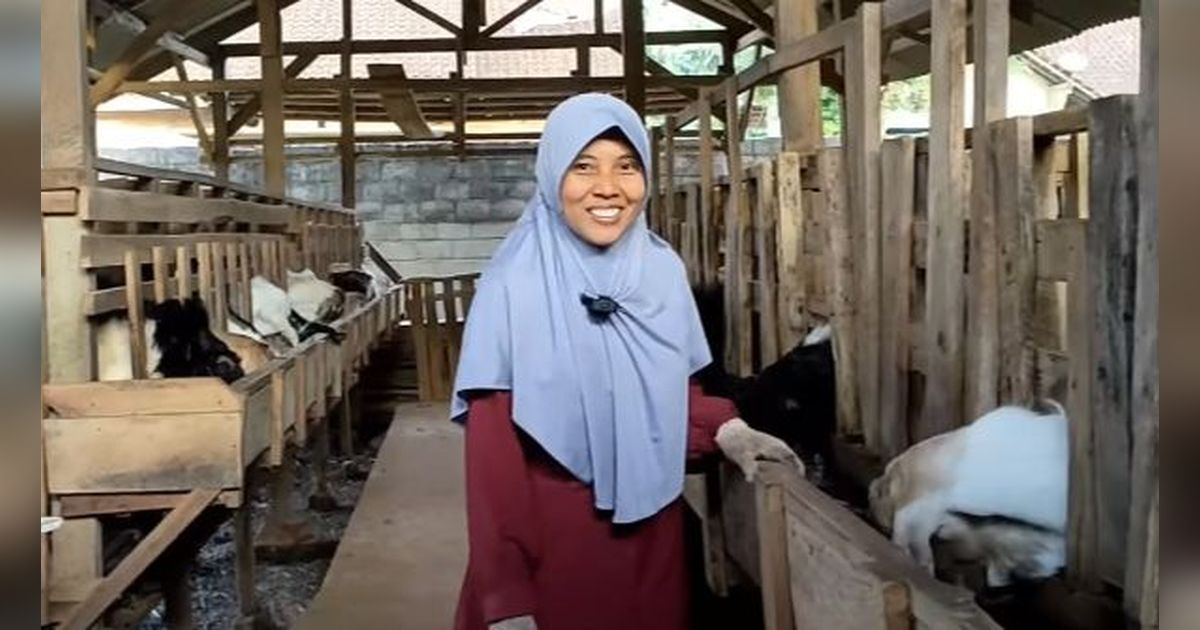 Modal Rp4 Juta, Ibu Ini Sukses Berternak Kambing Bisa Kuliahkan Anak di Poltekkes