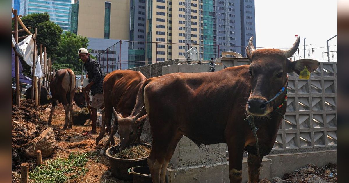 Jelang Idul Adha, Dharma Jaya Pastikan Stok Sapi dan Kambing Kurban di Jakarta Aman