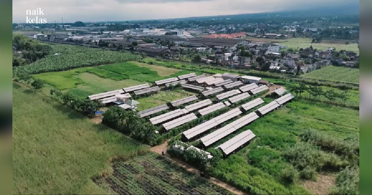 Menilik Kandang Kambing Terluas di Malang, Ubah Kambing Lokal Jadi Spesial Omzetnya Capai Rp600 Juta per Bulan