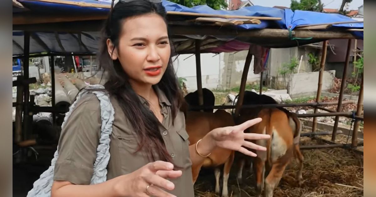 Indah Permatasari Istri Arie Kriting Buka Usaha Hewan Sapi 'Saya Sekarang Jadi Juragan Sapi'