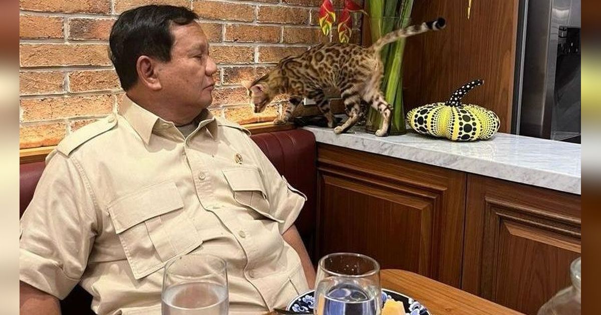 Gerindra Sebut Prabowo dan Gibran Rutin Bertemu