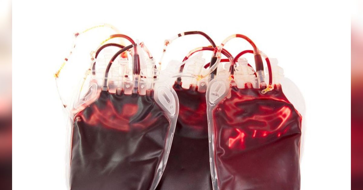 10 Fakta Golongan Darah B, Jadi Jenis Paling Banyak yang Berharga