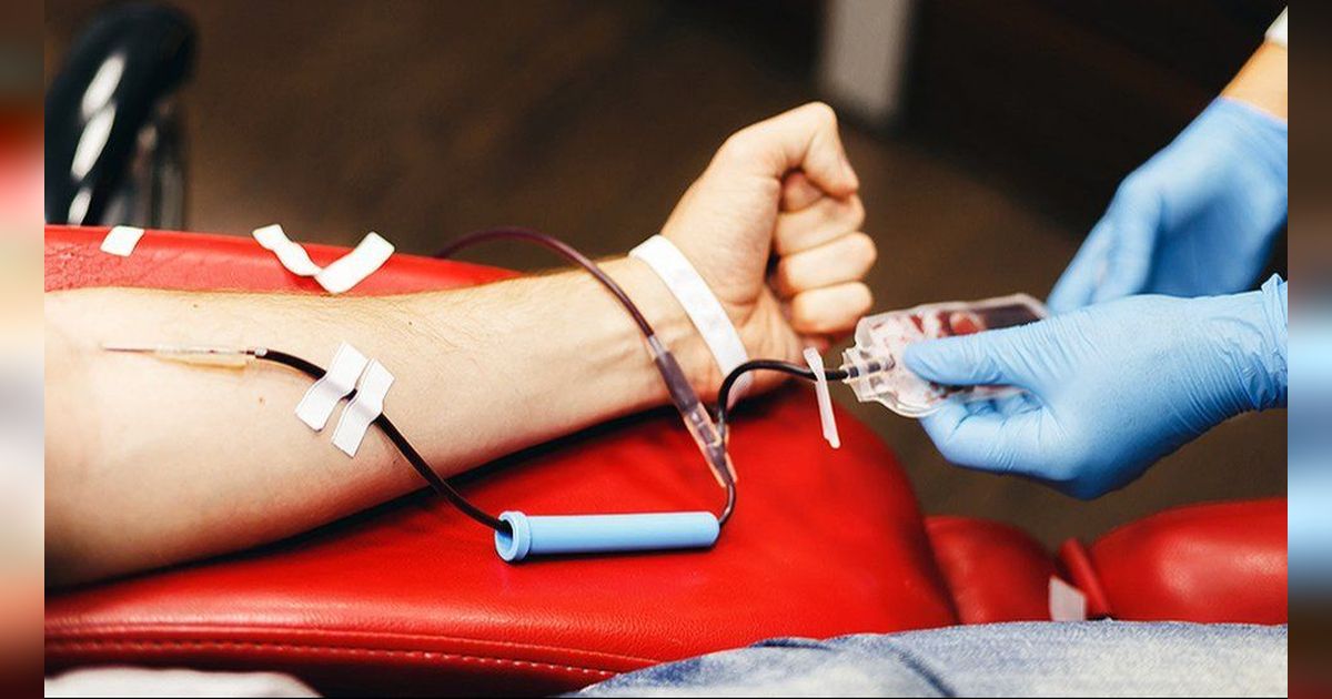 6 Golongan Orang yang Tidak Boleh Mendonorkan Darah, Wajib Tahu