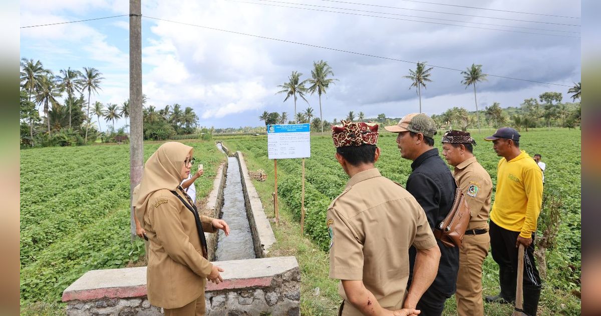 Banyuwangi Bangun dan Revitalisasi 123 Km Jaringan Irigasi dengan Skema Padat Karya