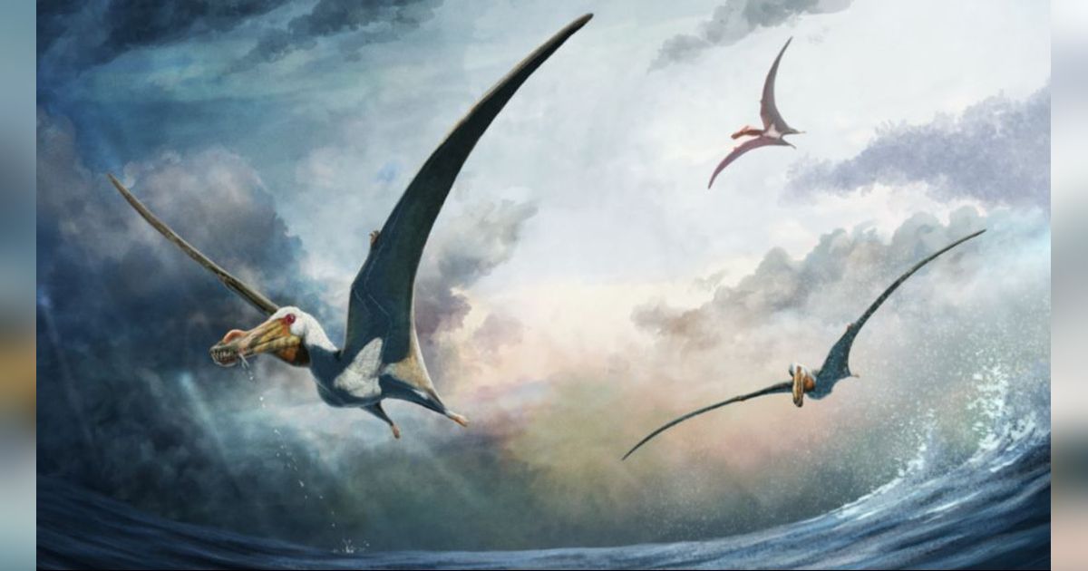 Ilmuwan Temukan Fosil Spesies Baru Dinosaurus Terbang Berusia 100 Juta Tahun, Kerangkanya dalam Kondisi Lengkap