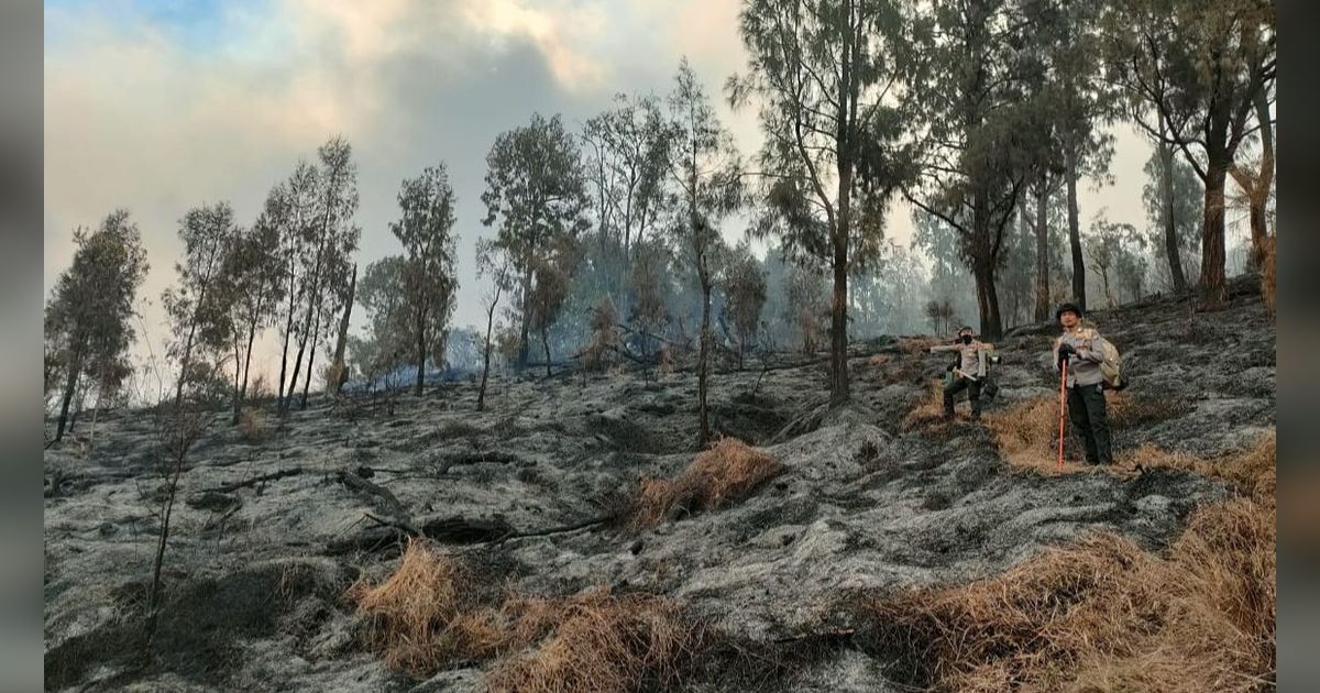 Pendakian Gunung Arjuno Dibuka Lagi Setelah Setahun Ditutup, Dibatasi 400 Pendaki