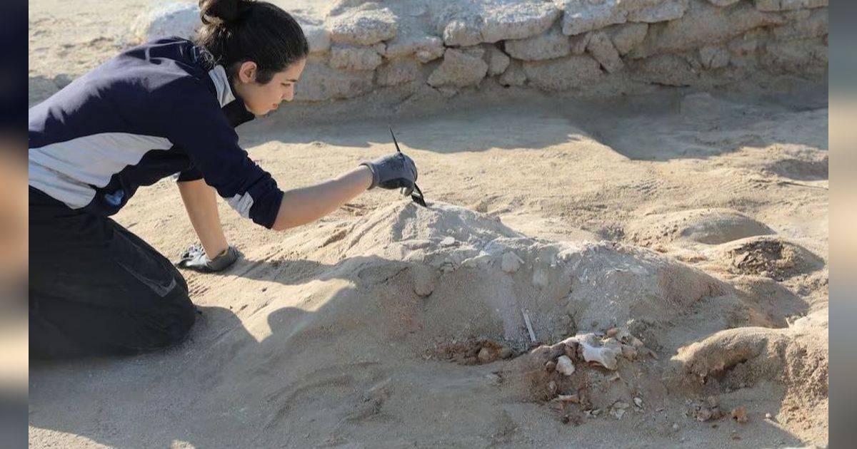 Pernah Disebut dalam Naskah Arab Kuno, Arkeolog Temukan Kota yang Hilang dari Masa Abad ke-6, Terkenal karena Mutiaranya