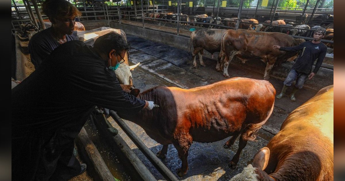 Kemenag Gandeng LDII Jakarta Latih Ratusan Juleha untuk Penyembelihan Hewan Kurban