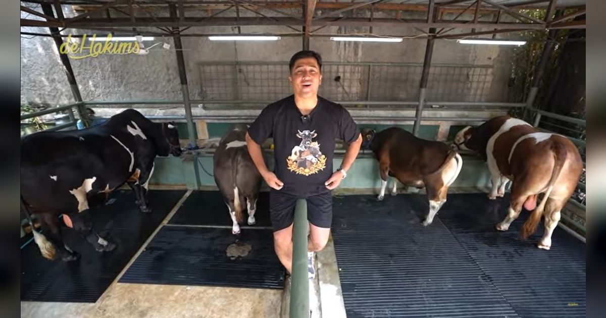 Penampakan 7 Sapi Jumbo Irfan Hakim di Momen Idul Adha Tahun ini, Sapi Paling Besar Bobotnya Bikin Melongo