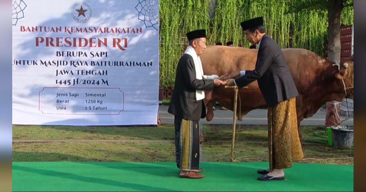 Jokowi Kurban Sapi Limosin Berbobot 1,25 Ton di Masjid Baiturrahman Semarang