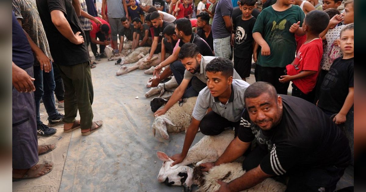 FOTO: Di Tengah Kekhawatiran Serangan Israel, Warga Palestina di Gaza Rayakan Iduladha dengan Berkurban Domba