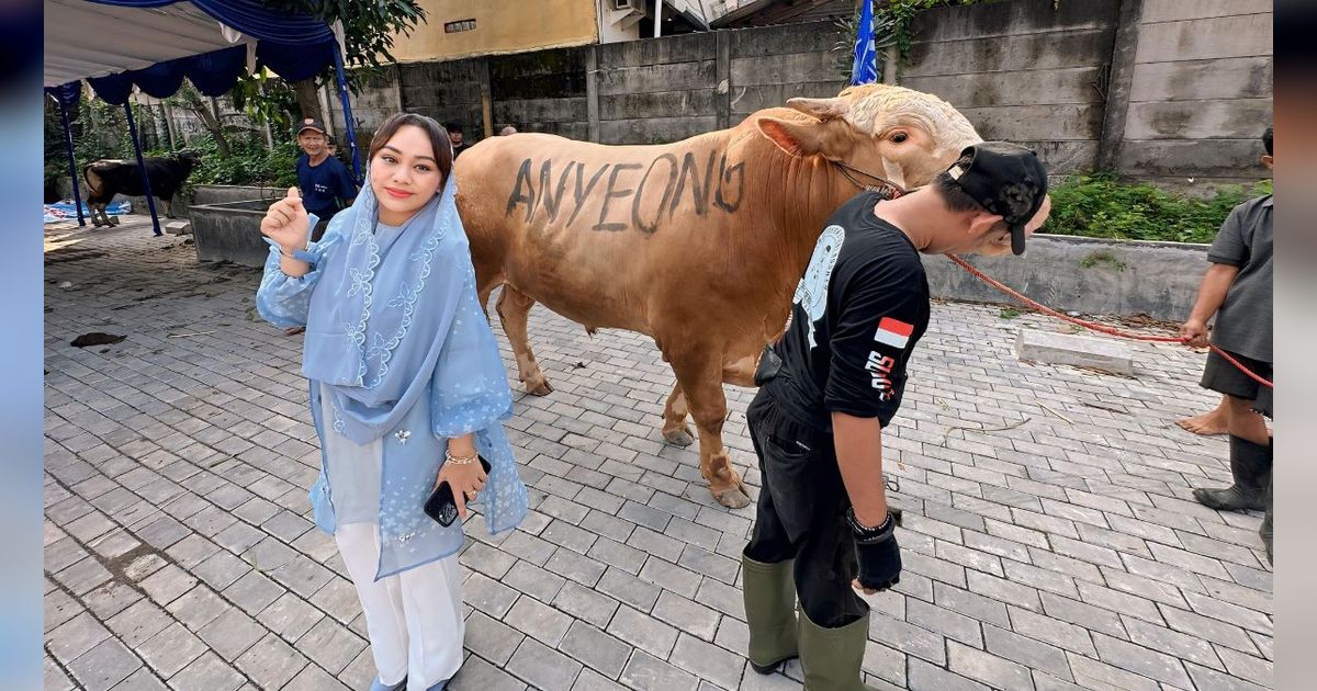 Zita Anjani Berkurban Dua Sapi Limosin di Cipinang, Namanya Anyeong dan Haseyo