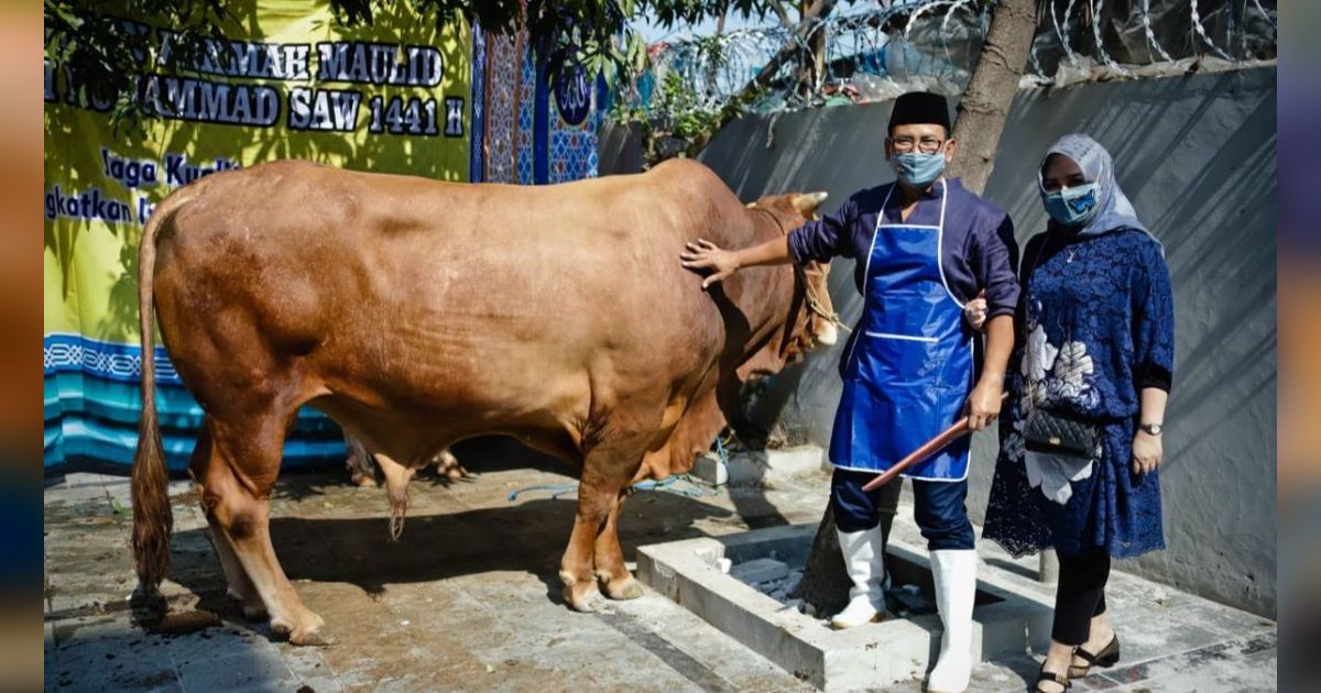 Program Pemberdayaan Usaha BRI: Peternak Kambing Ini Banjir Pembeli dari Berbagai Daerah