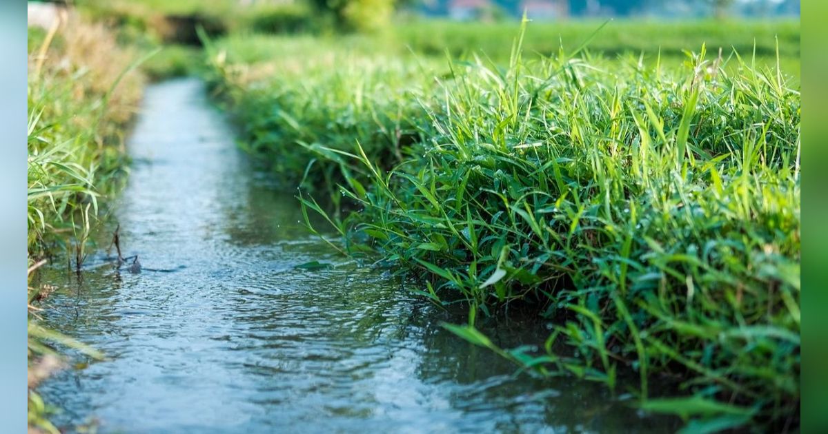 Bondar, Kearifan Lokal Masyarakat Tapanuli Selatan untuk Jaga Pengelolaan Air
