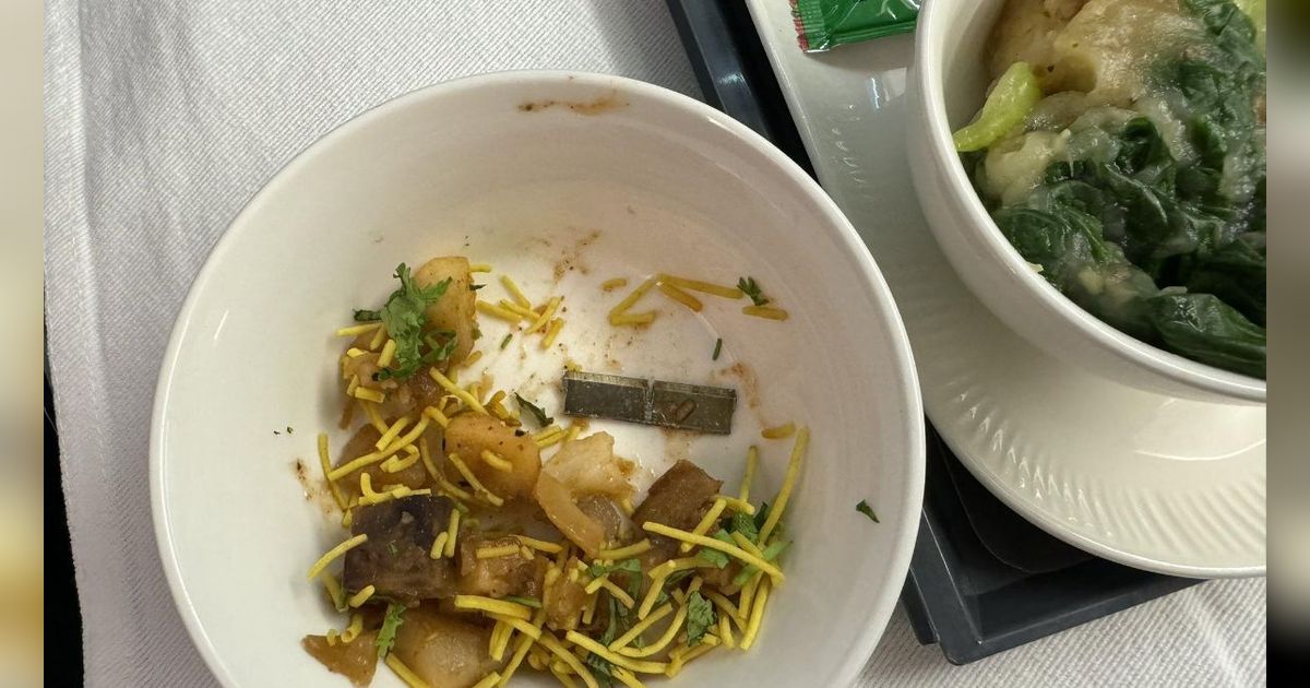 Ngeri! Hampir Habis, Penumpang Air India Lolos dari Maut Usai Temukan Potongan Silet dalam Makanan yang Disajikan di Pesawat