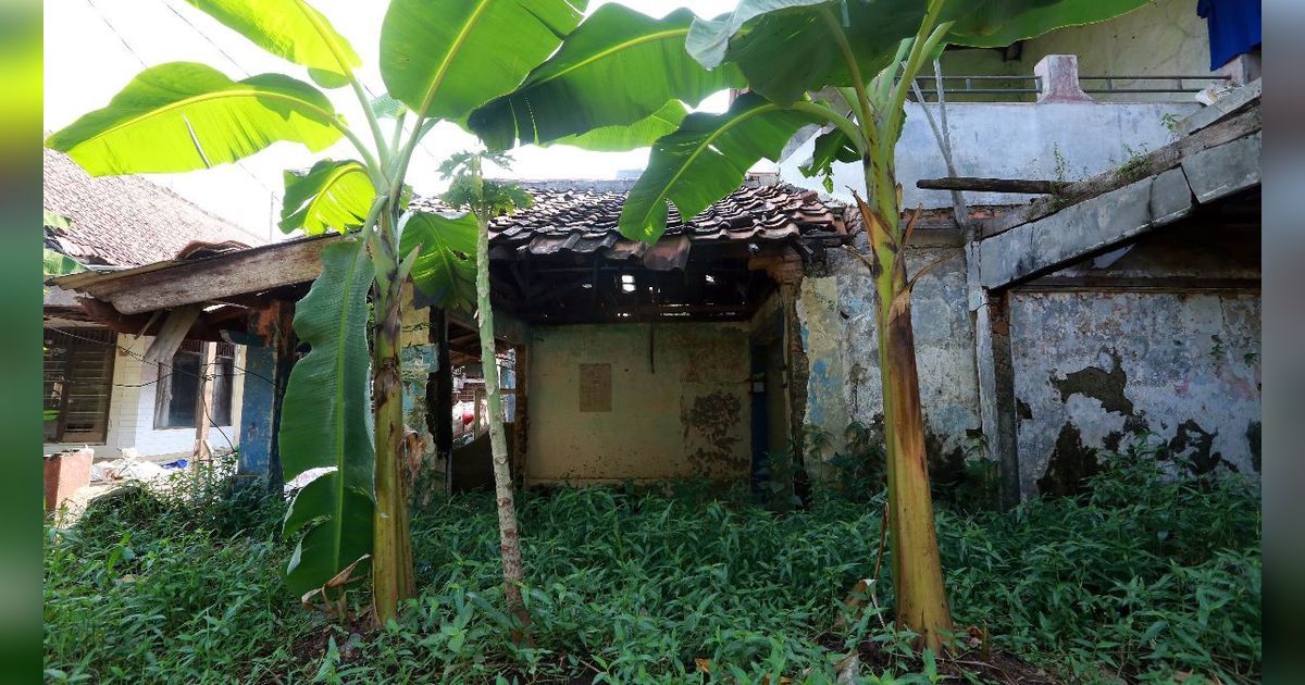 Potret Kampung Zombie di Tengah Jakarta, Suasananya Horor