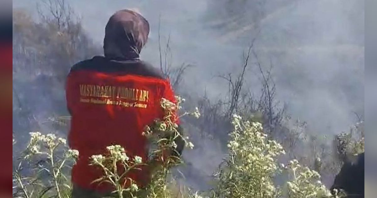 Setelah Belasan Jam, Karhutla di Savana Bromo Tengger Semeru Padam