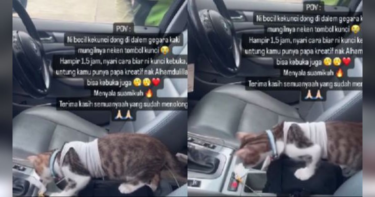 Momen Lucu Mobil Terkunci dari Dalam Gara-Gara Tingkah Kucing