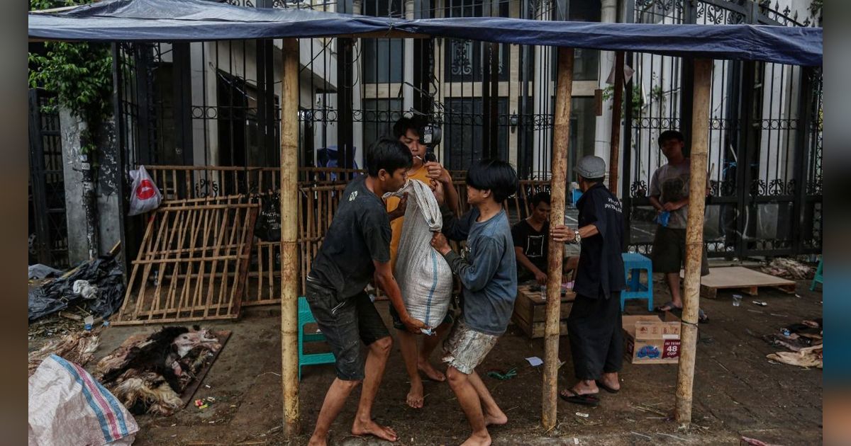 Makna Idul Adha Sarat Nilai Kemanusiaan Berbagi Kebahagian, Bukan Pamer Hewan Kurban