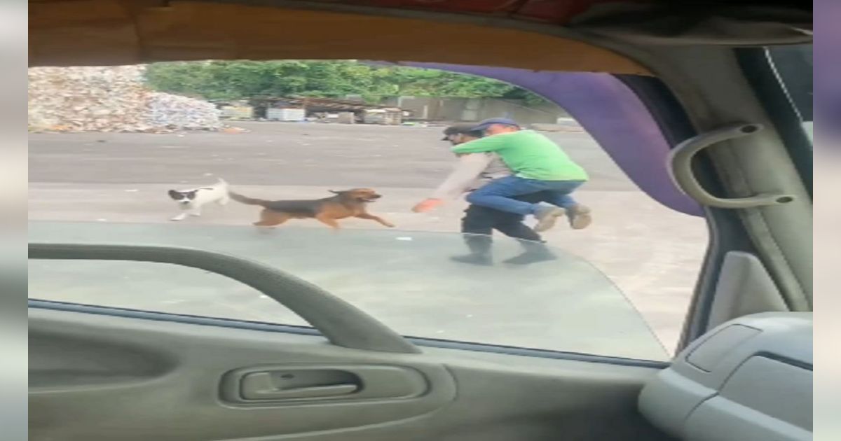 Sosok Pak Satpam ini Jadi Pahlawan Seorang Pria Diserang Anjing, Korban Sampai Nemplok Digemblok Bak Anak Kecil