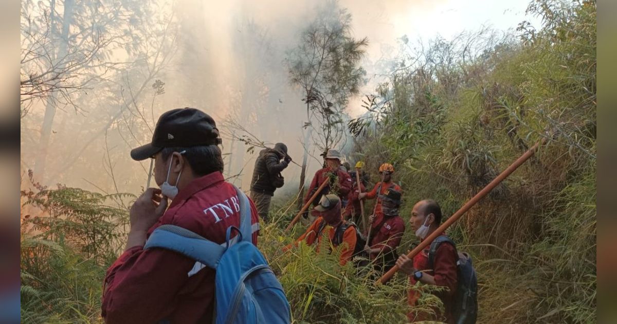 Kronologi Gunung Bathok Kebakaran, Api Mengarah ke Bromo