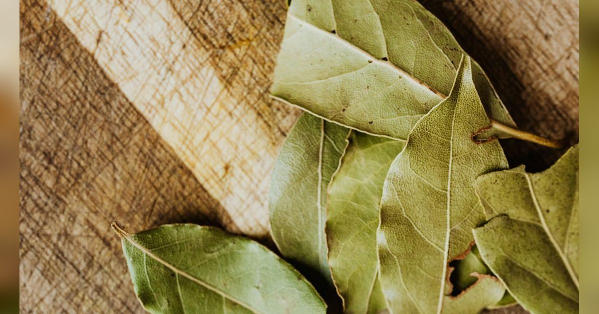 10 Manfaat Daun Salam, Mulai Cegah Diabetes, Stres, Hingga Depresi