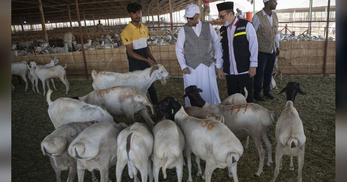 Pengelolaan Dam Petugas dan Jemaah Haji Harus Sesuai Standar Syariah