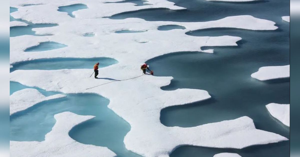 Gunakan Teknologi Canggih, Start Up Ini Bakal Membekukan Kembali Es di Kutub Utara, Begini Cara Kerjanya