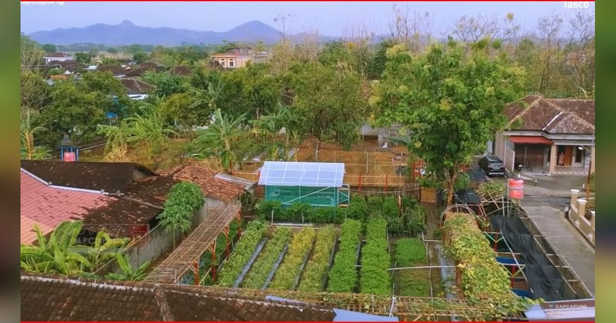 Berawal dari Sepedaan Bareng, Ibu-Ibu di Wonogiri Ini Sulap Lahan Tidur jadi Kebun Sayur