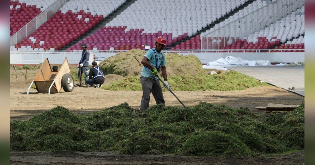 FOTO: Penampakan Terkini Revitalisasi Lapangan Stadion Gelora Bung Karno, Rumput Dibongkar dan Akan Ditanam Ulang