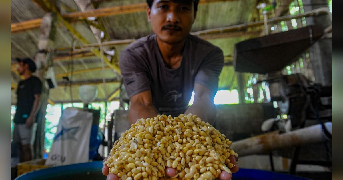 FOTO: Jerit Perajin Tahu Imbas Mahalnya Harga Kedelai di Tengah Kenaikan Dolar AS, Terpaksa Perkecil Ukuran