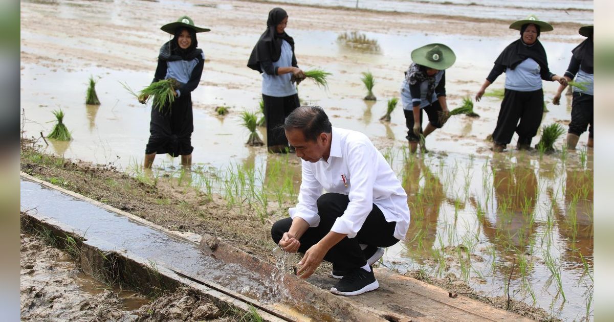 Ini Besaran Jatah Harga Rumah Pensiun Jokowi di Karanganyar