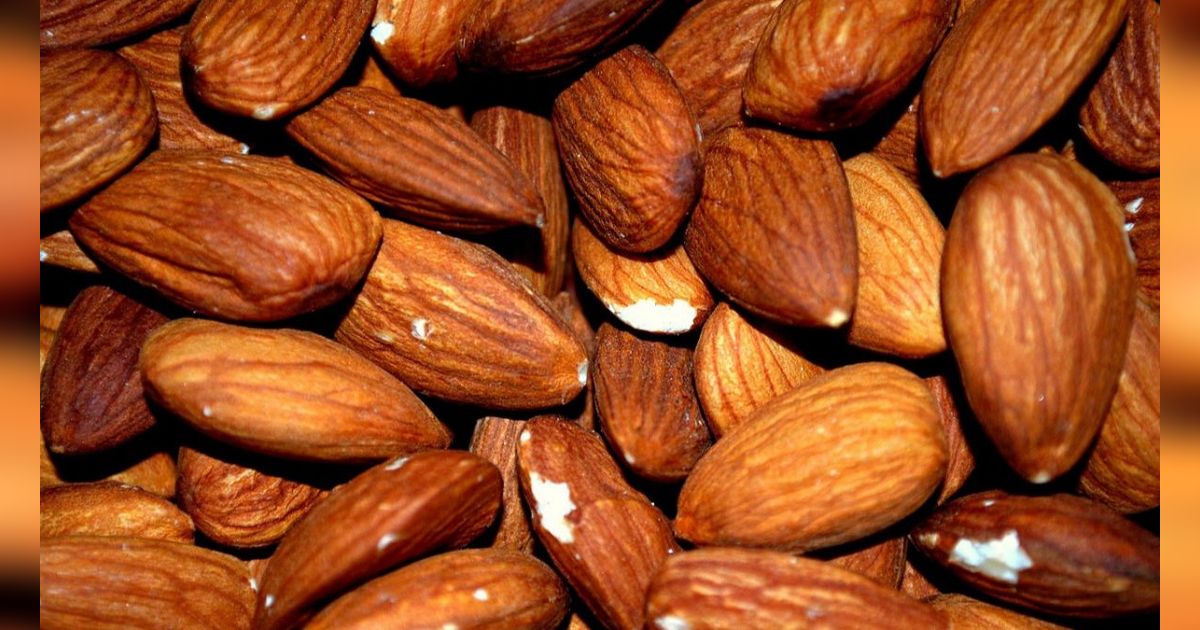 9 Manfaat Kacang Almond untuk Promil, Efektif Tingkatkan Peluang Hamil