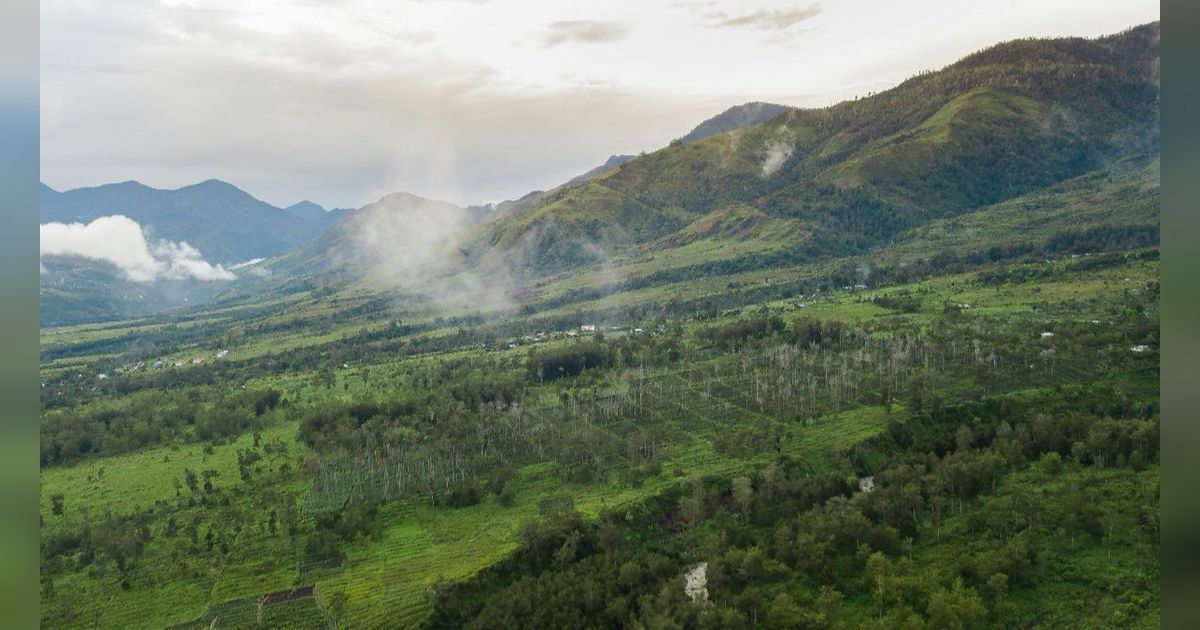 Terungkap, Ini Kisah di Balik Tagar 'All Eyes on Papua' yang Menggema di Medsos