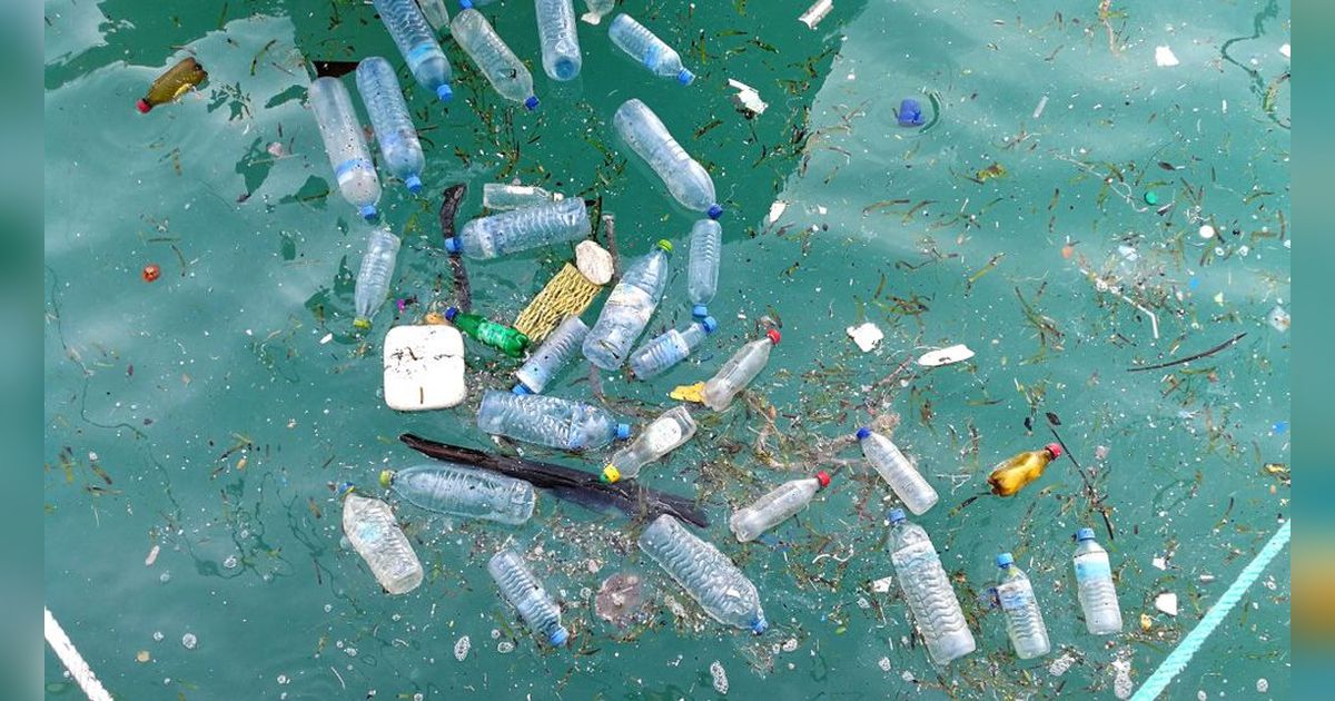 Ilmuwan Rilis Daftar Negara Pemakan Mikroplastik Terbanyak di Dunia, Indonesia Urutan Berapa?